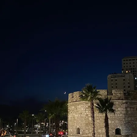 Bici Elegant Luxury Vollga *