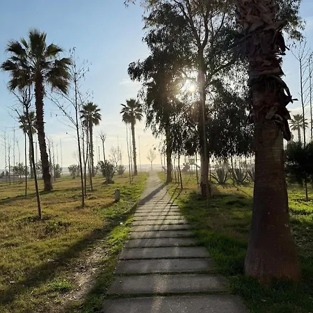 Bici Elegant Luxury Vollga * Durres