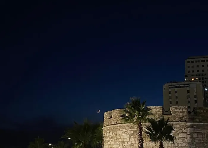 Bici Elegant Luxury Vollga *