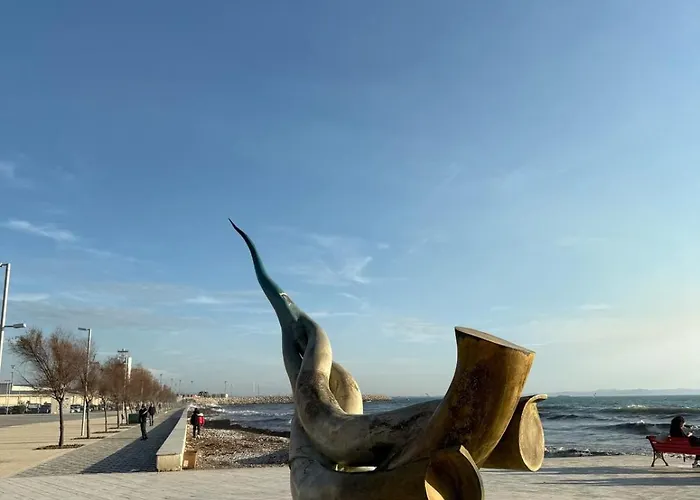 Bici Elegant Luxury Vollga Durrës